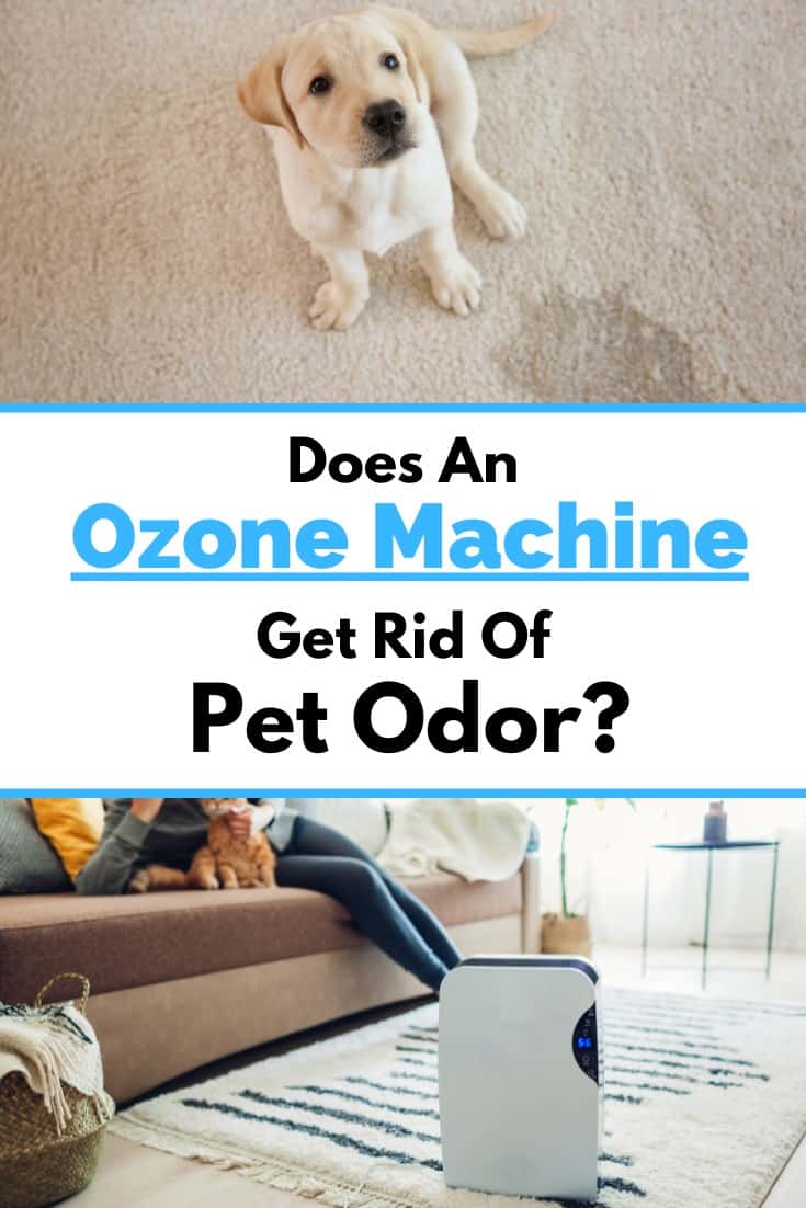 Does An Ozone Machine Get Rid Of Pet Odor?