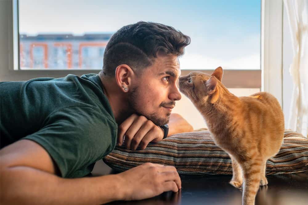 Why Does My Cat Smell My Eyes?