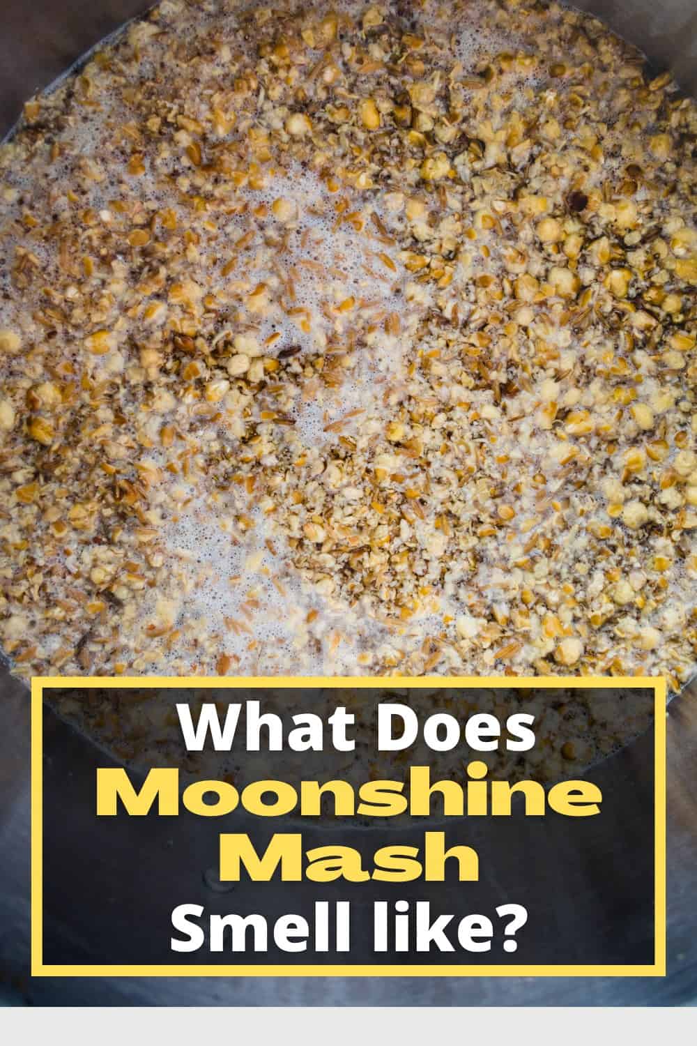 Moonshine mash has a strong yeasty smell