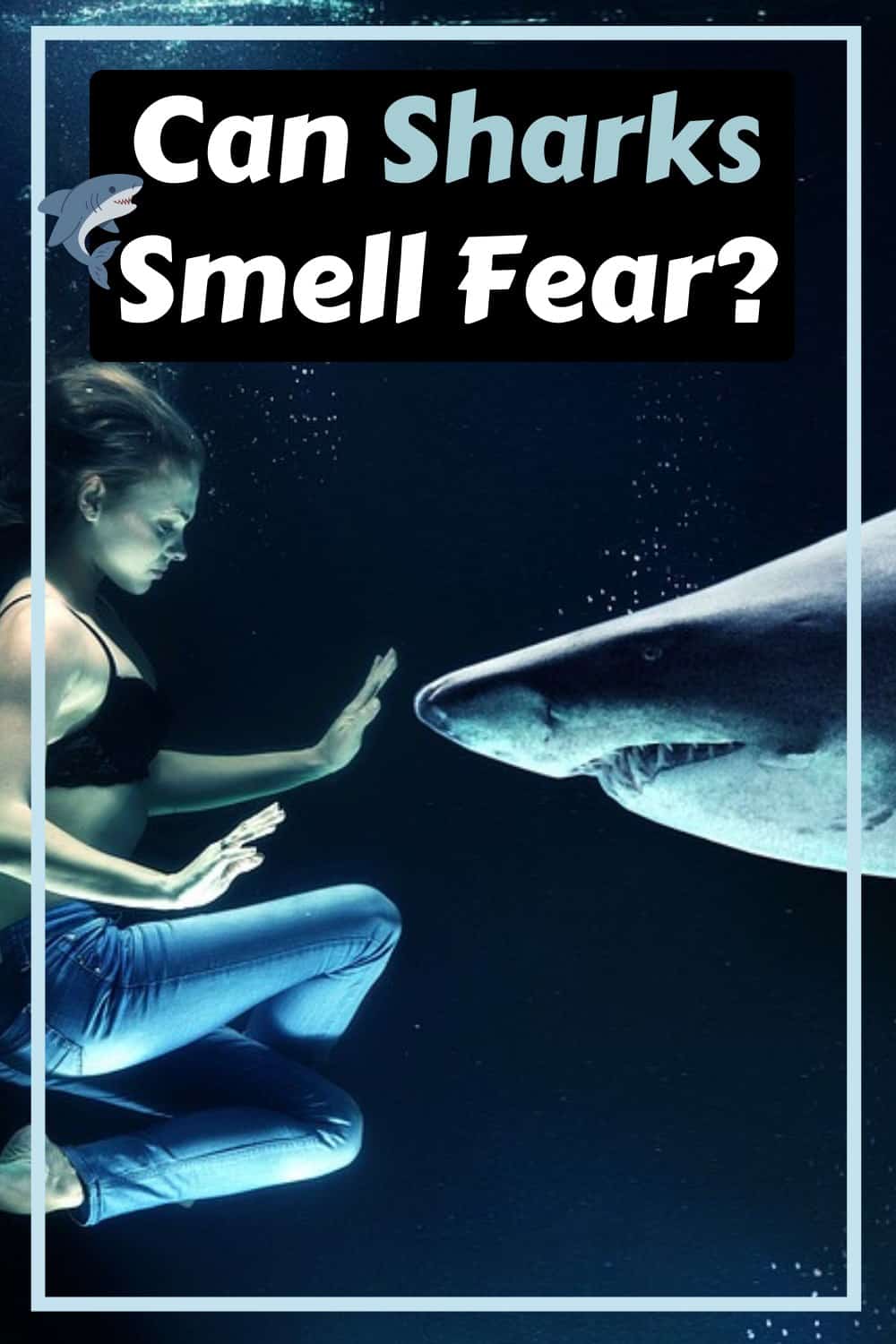 Sharks can not smell fear