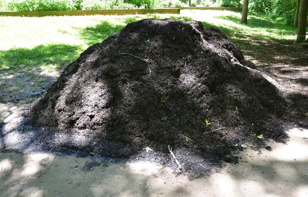 Why Does Mulch Smell So Bad? (And How To Fix It)