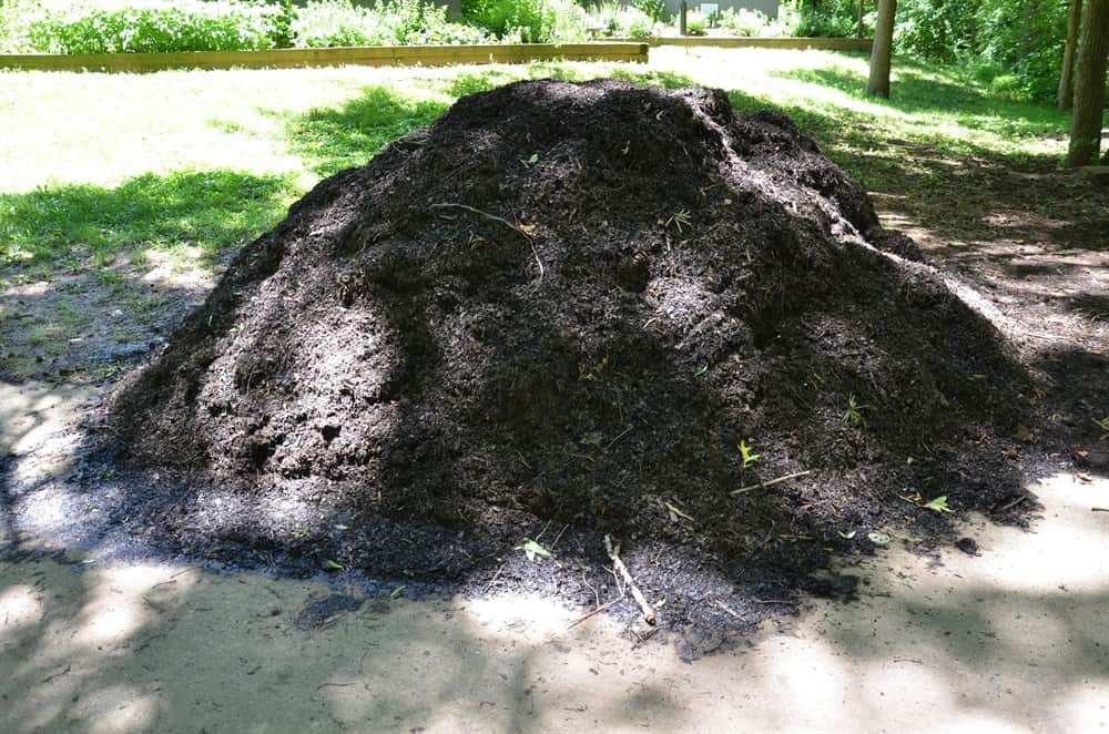 Why Does Mulch Smell So Bad? (And How To Fix It)