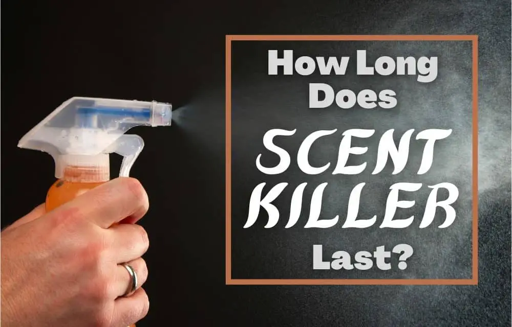 How Long Does Scent Killer Last?