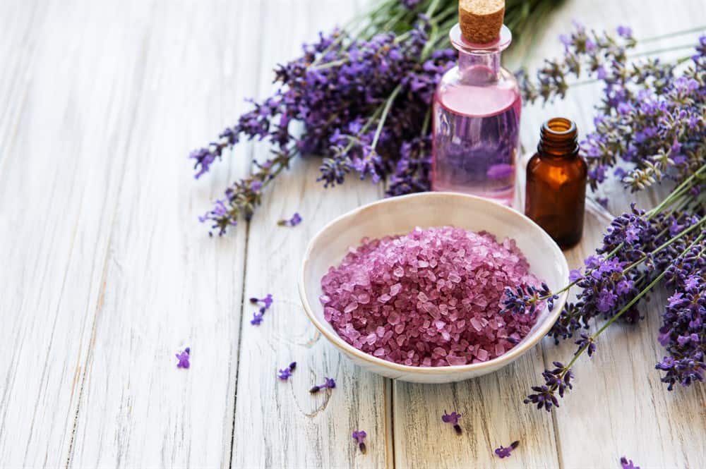Why Does Your Lavender Smell Bad?