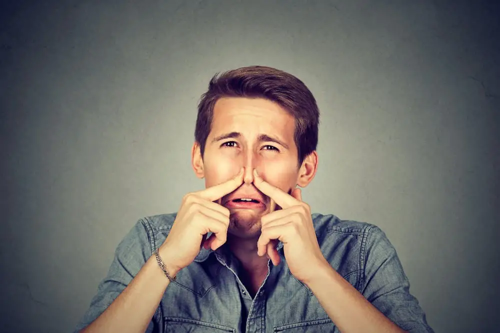 Why Do Upper Lips Smell Bad?