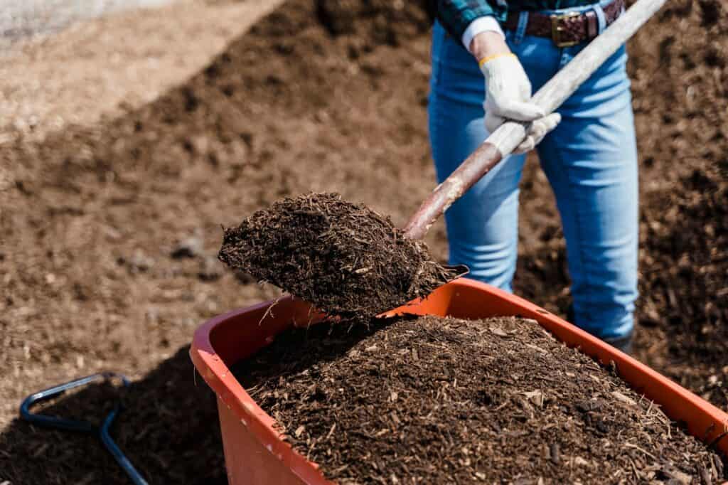 Tips to remove manure smell in soil
