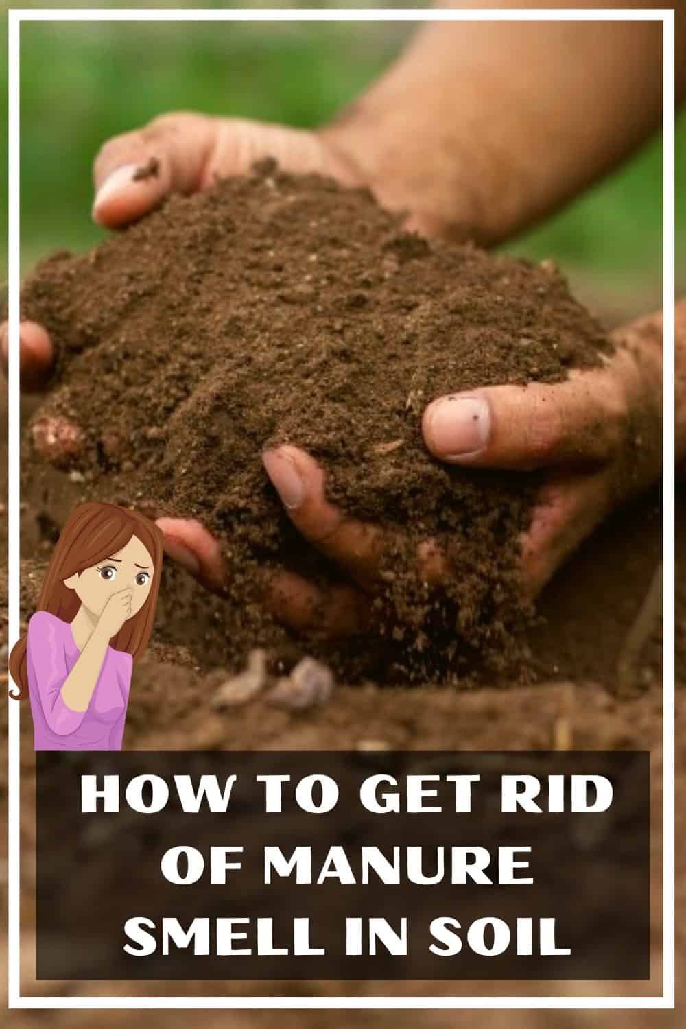 To get rid of the smell of manure in the soil try the following