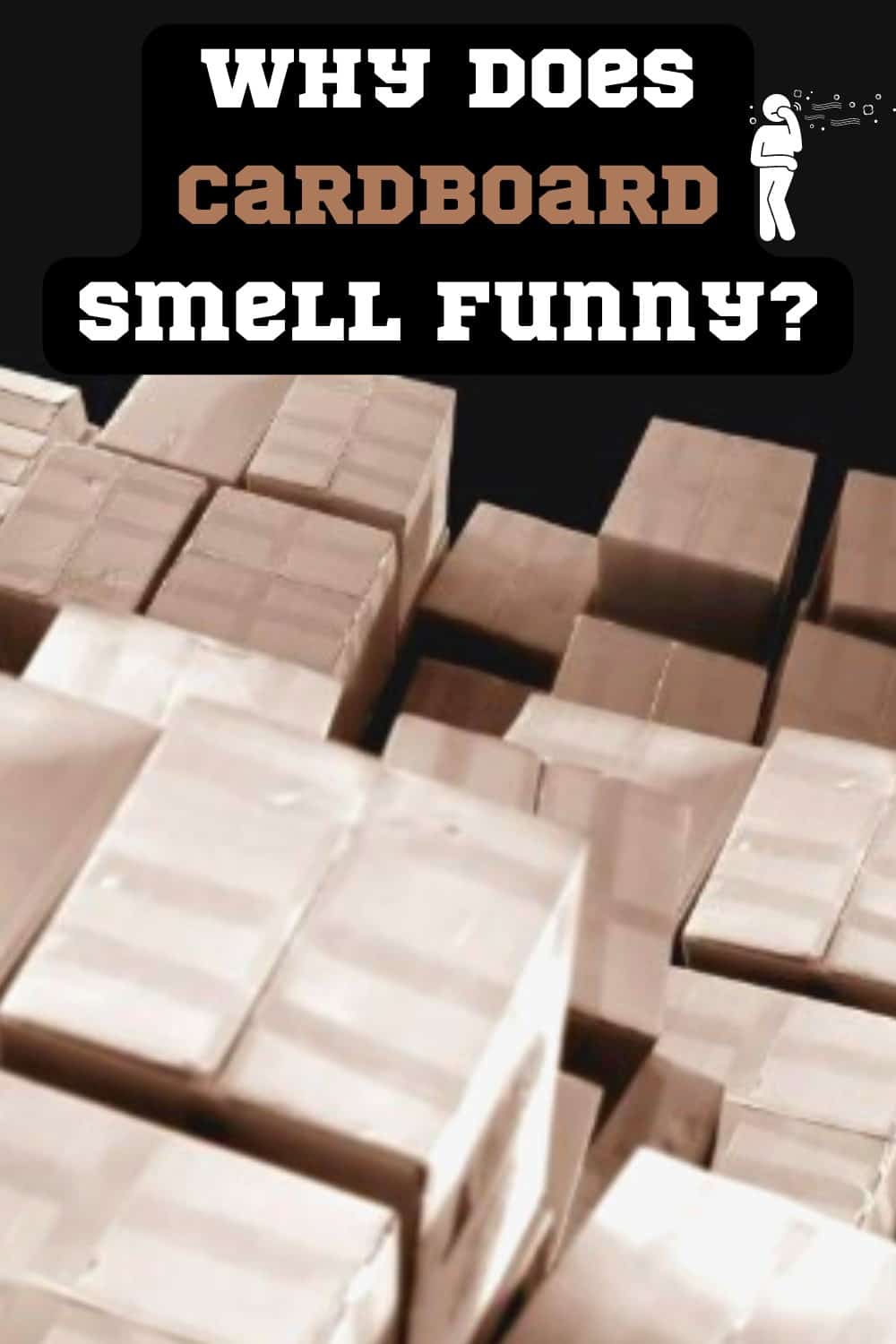Why Does Cardboard Smell Stinky?