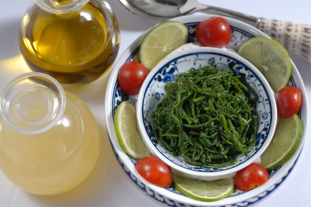 What Does Sea Moss Smell Like?