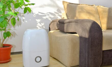 Benefits Of A Dehumidifier And How To Use Yours Effectively