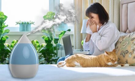 Can Humidifiers Help With Allergies?