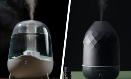 Humidifier vs Diffuser: What is the Difference?