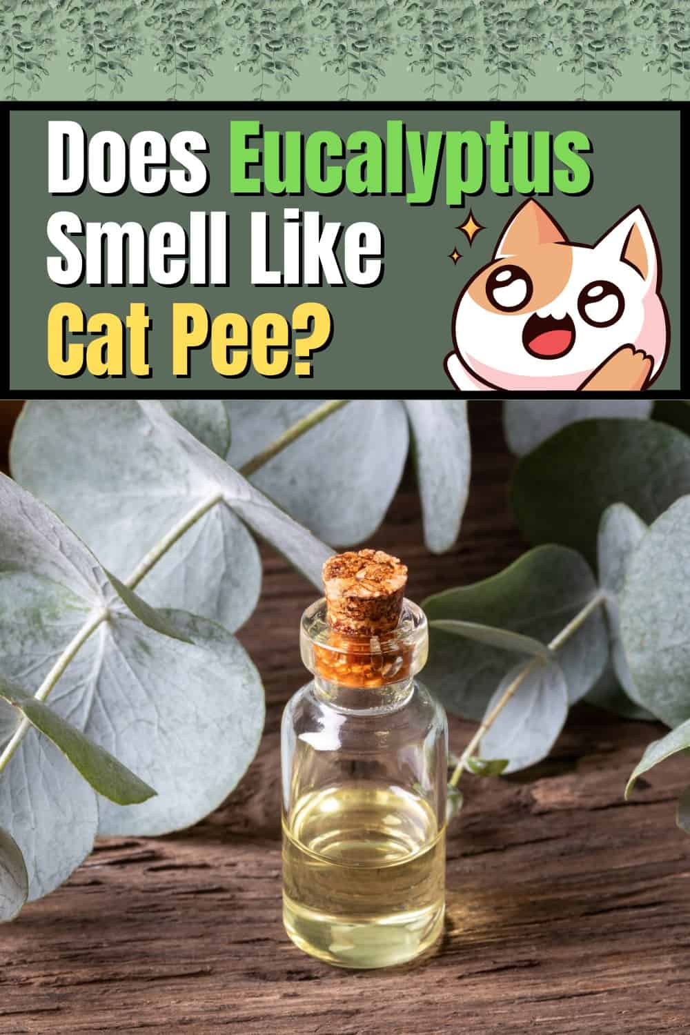 does-eucalyptus-smell-like-cat-pee-odoranswers