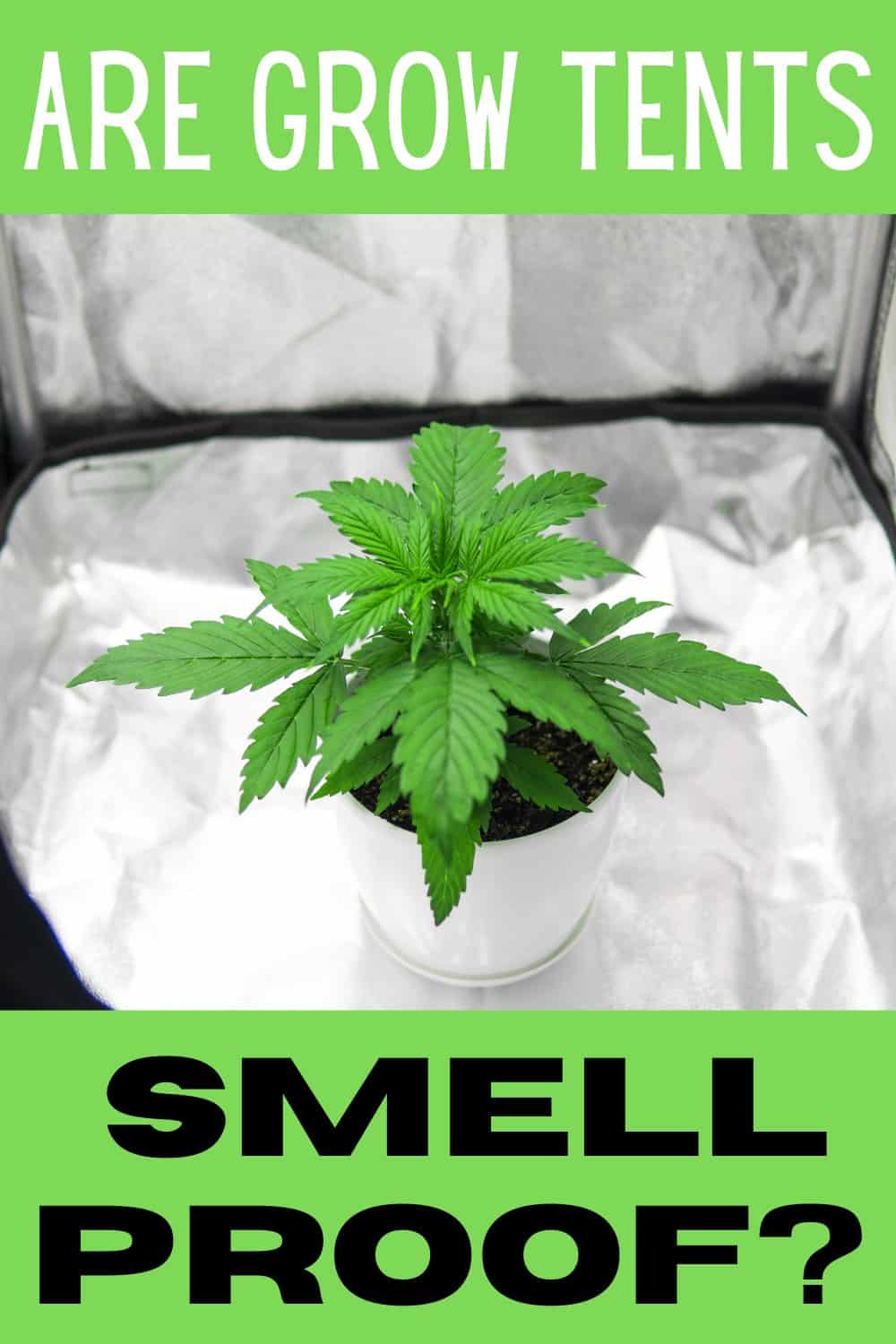 Are Grow Tents Smell Proof?